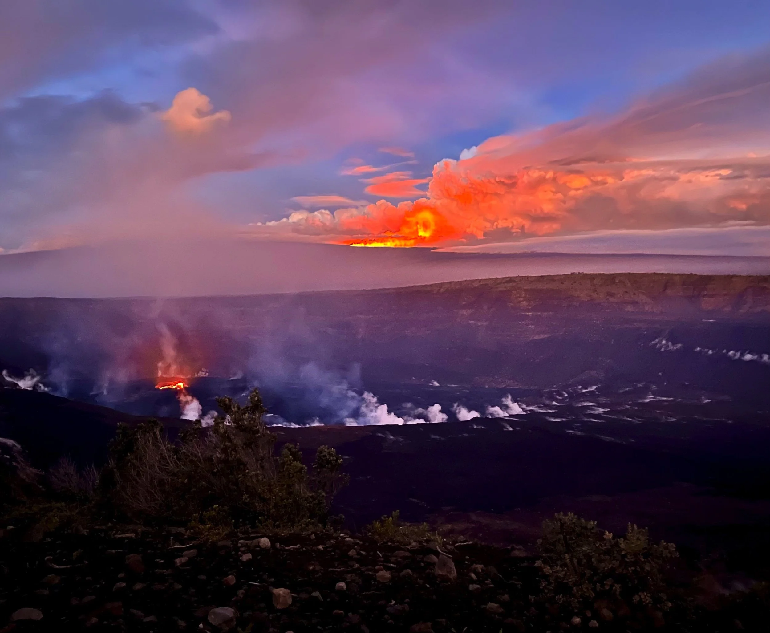 SHOP | Discover Hawaiian Delights — Paradise Preserved